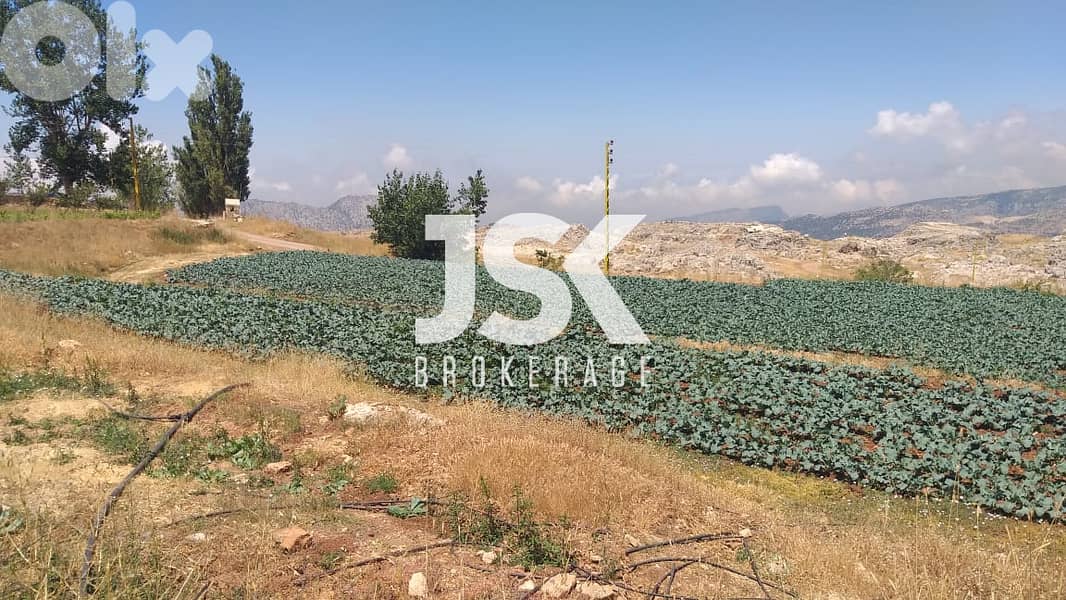 L07503-Beautiful Land for Sale in Laqlouq 0