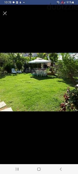 chalet amwaj for rent 5