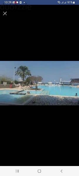 chalet amwaj for rent 9