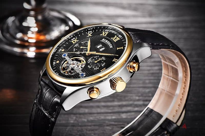 Luxury Mechanical Watch 0