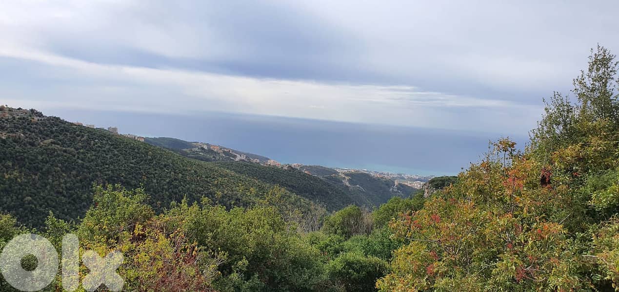 L06750-Land for Sale in Bechtlida Jbeil 0