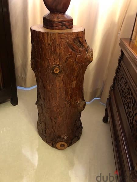 2 tree branches , serving as tables 1