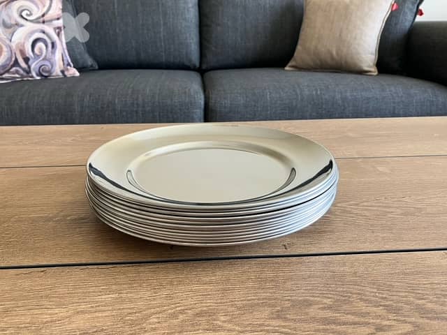 12 Stainless Steel Plates 1