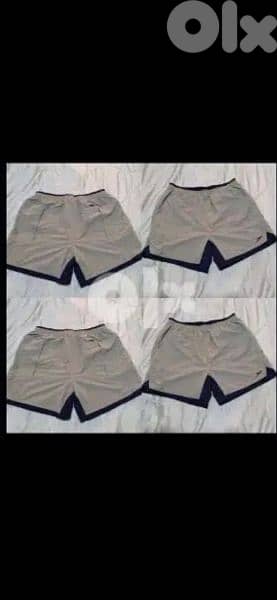 original speedo shorts waterproof M to xxL 1