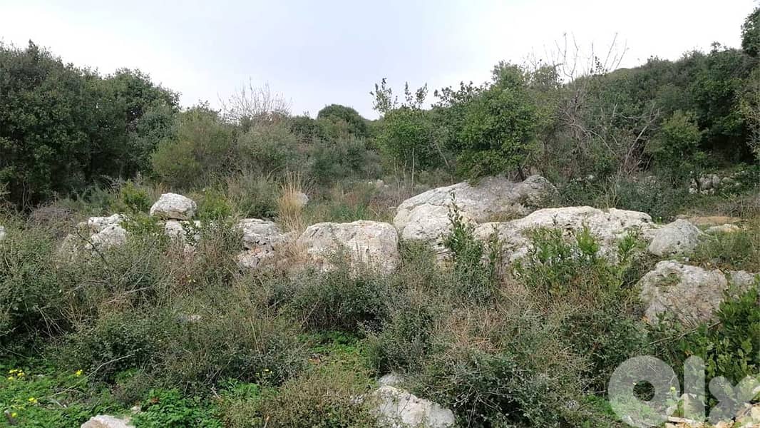 Land in Monsef | Villa's Area | Sea View | أرض للبيع | PLS 24955 1