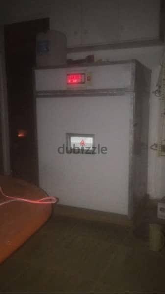 فقاسة ١٠٥٦ بيضة فول اتوماتيك