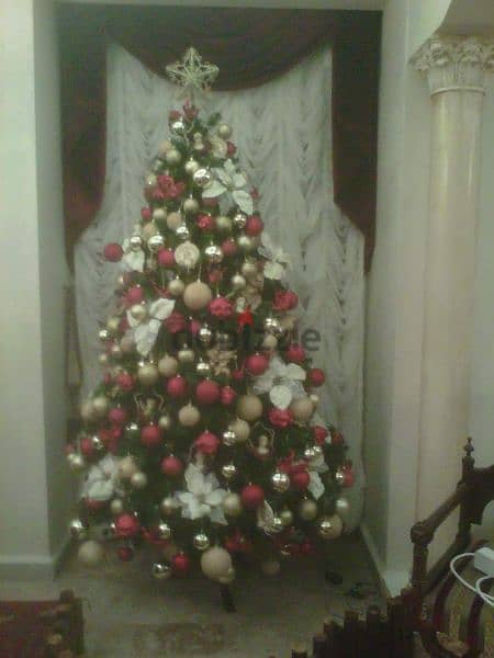 Christmas tree 0