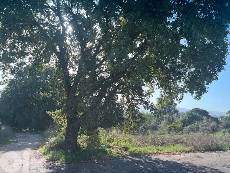 land for sale in bteram 1