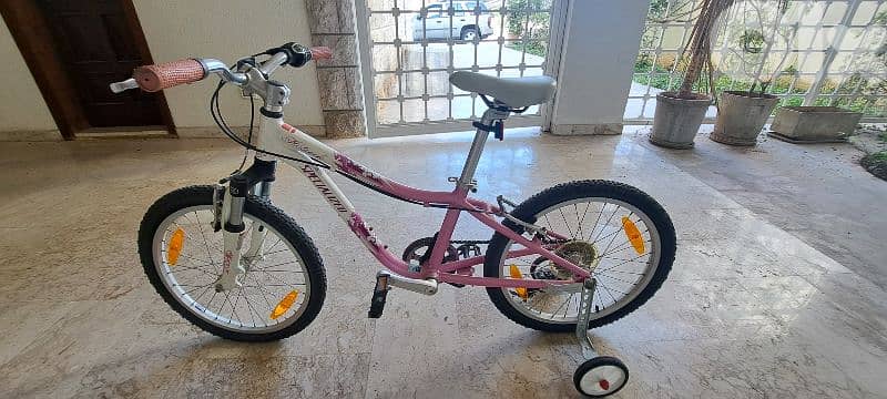 Specialized Hotrock 20 6-Speed Girls 1