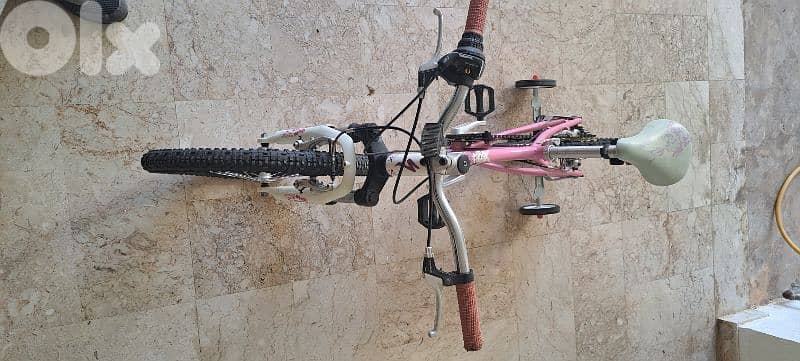 Specialized Hotrock 20 6-Speed Girls 2