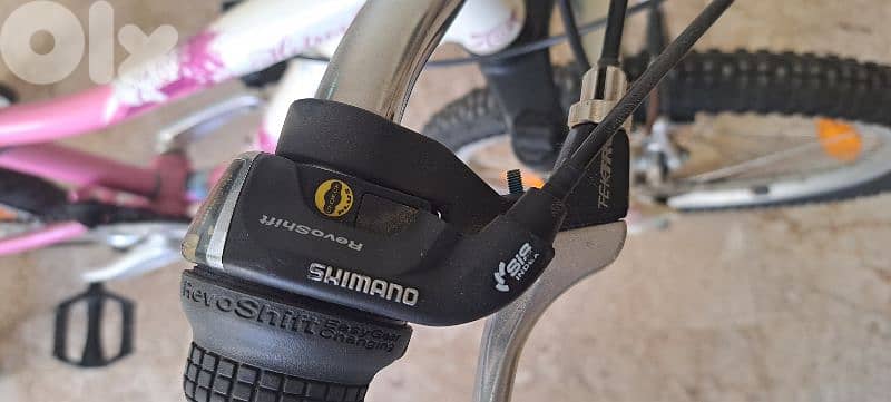 Specialized Hotrock 20 6-Speed Girls 4