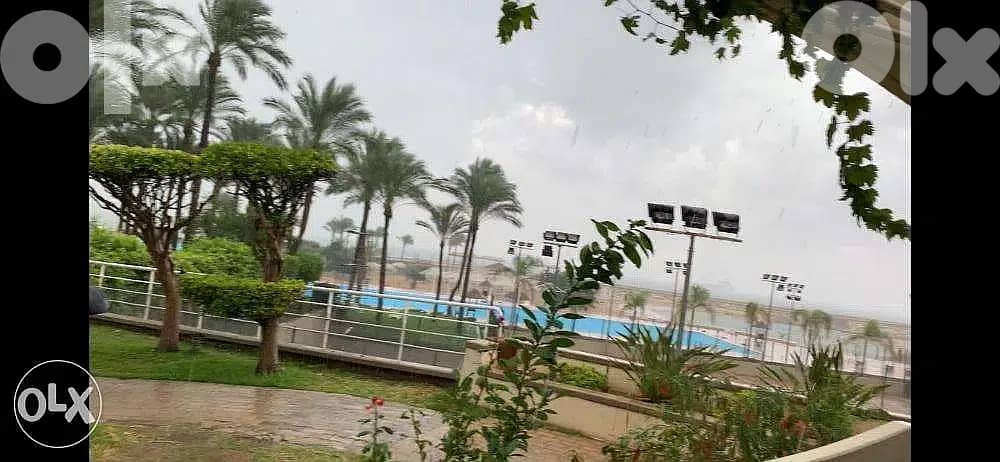 Rimal Beach. Gazon. Best Front location. December 2025 - November 2026 7