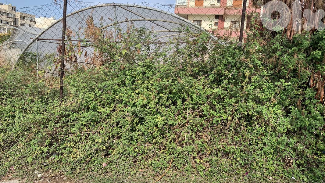 RWB218MT - Land for sale in JBEIL 1