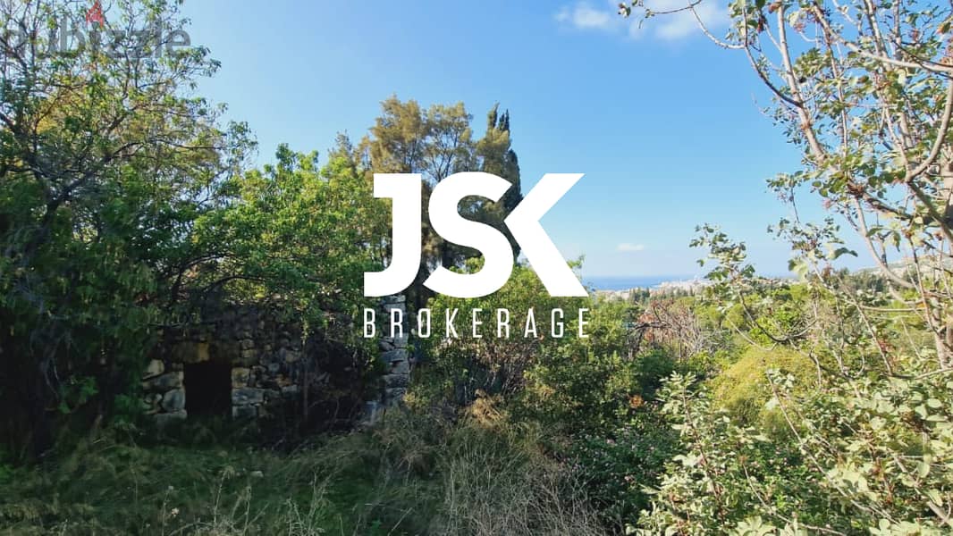 L13650-Land With Sea And Mountain View for Sale In Batroun 0