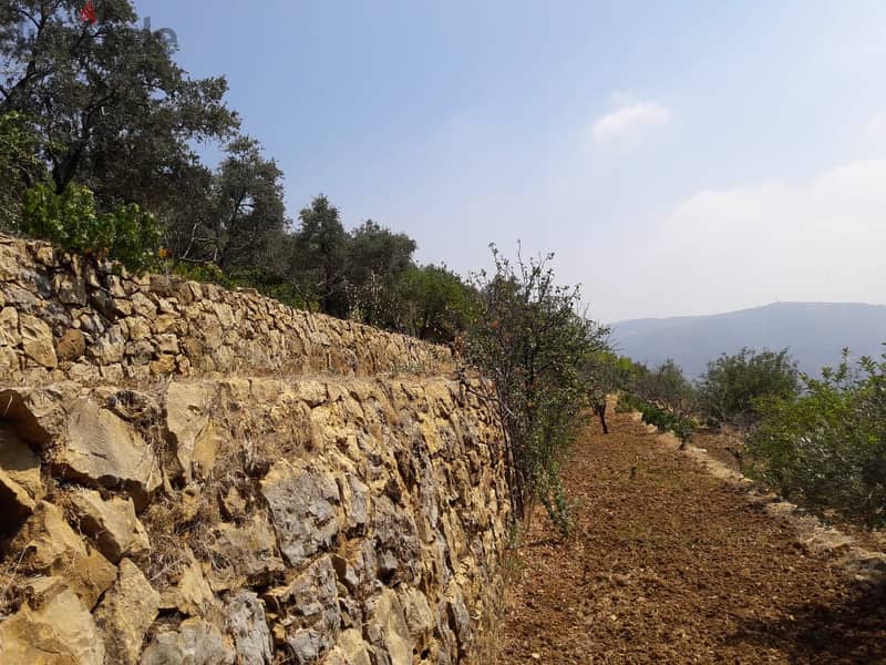 L08713 - Land for Sale in Al-Kaakour 0
