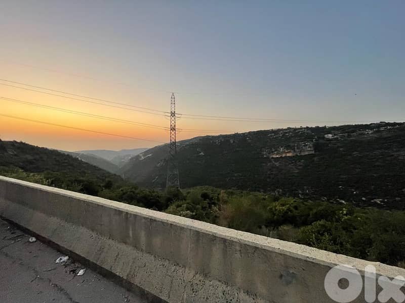 L13699-Big Size Land for Sale In Haqel-Jbeil 1