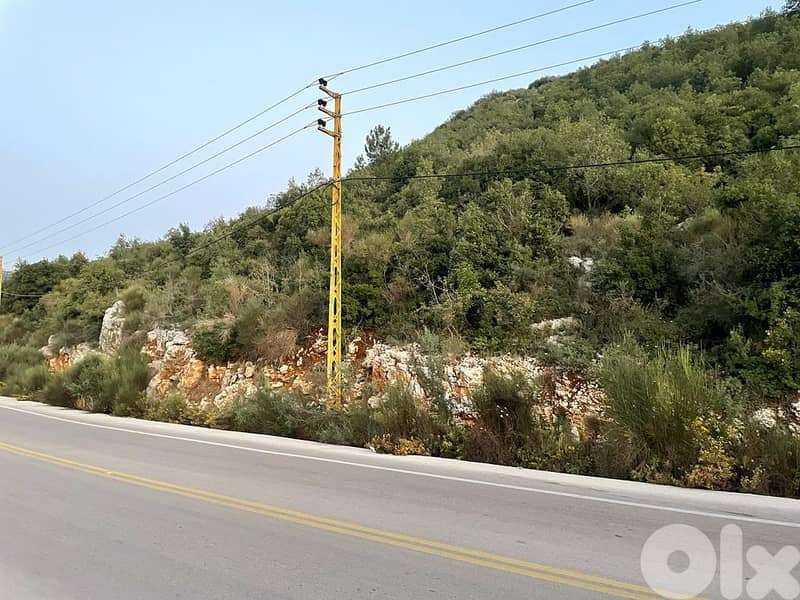 L13699-Big Size Land for Sale In Haqel-Jbeil 2
