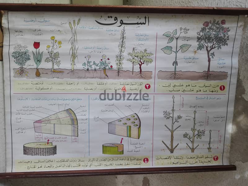 منشورات قديمة  للمدارس مكتبة لبنان 1968 2