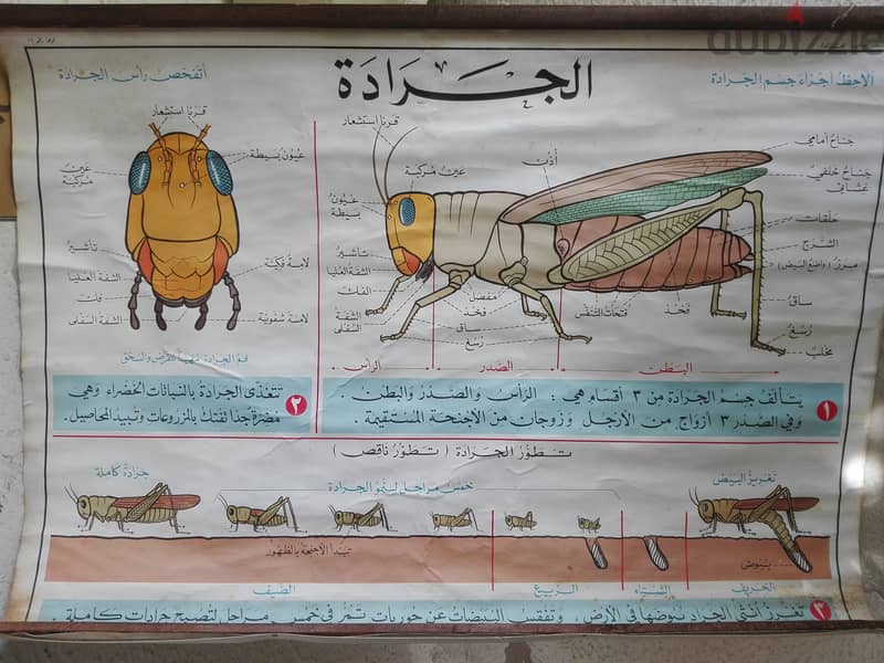 منشورات قديمة  للمدارس مكتبة لبنان 1968 5