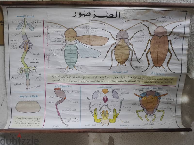 منشورات قديمة  للمدارس مكتبة لبنان 1968 6