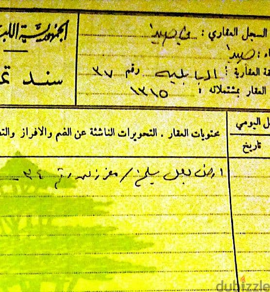 land for sale in babliyeh saida 0