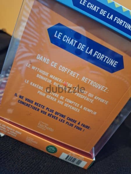 le chat de la fortune kakébo 7