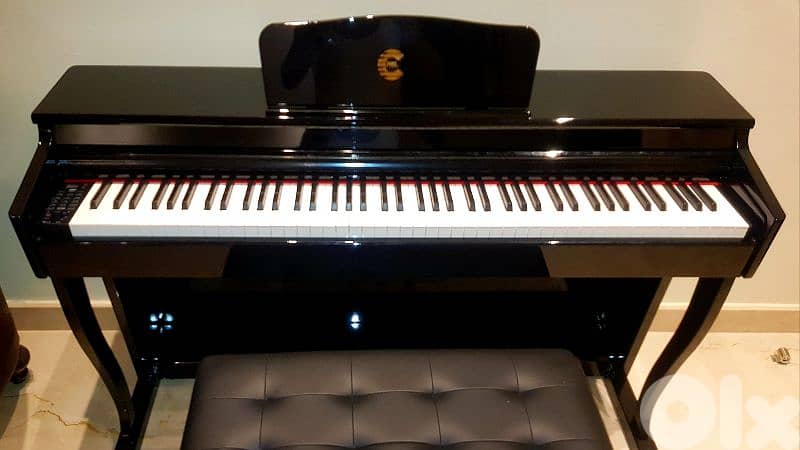 Piano Digital Cpro. New hamer keys 900 voices 70p styles . . . 2