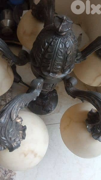 تريا كتير مرتبة جديدة50$ 1