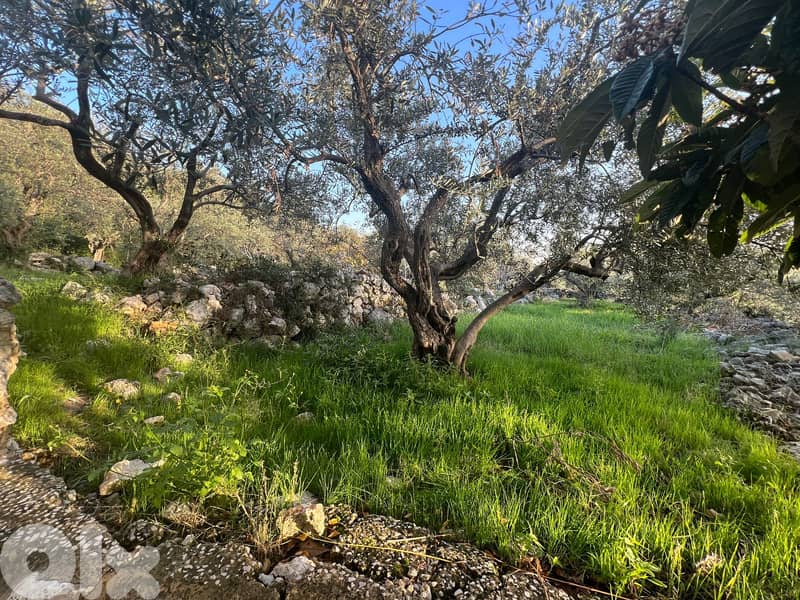 A 1255 m2 land + open sea view for sale in Monsef-أرض للبيع في منصف 6
