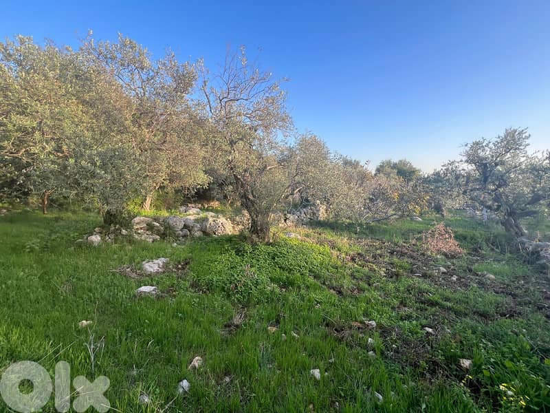 A 1255 m2 land + open sea view for sale in Monsef-أرض للبيع في منصف 4