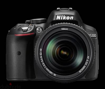 Nikon d5300 with 2 lenses