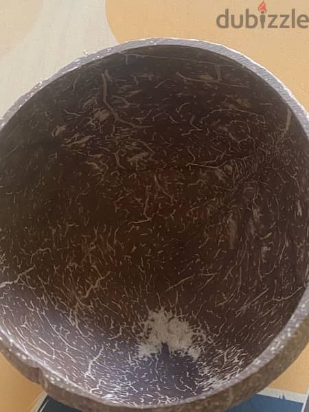 Natural Coconut Bowls 3