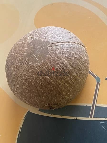 Natural Coconut Bowls 1