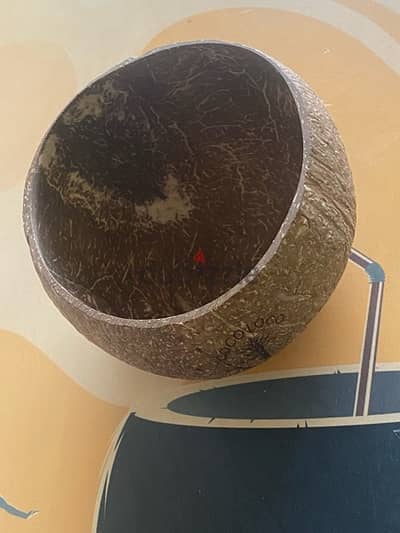 Natural Coconut Bowls