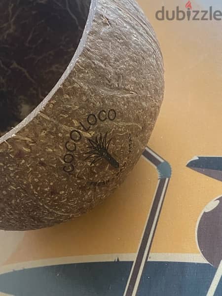 Natural Coconut Bowls 2