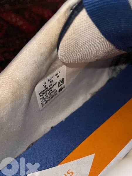 Lacoste Shoes 3