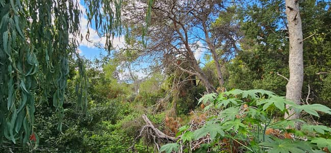 Land for sale in Yarzeh أرض للبيع في اليرزة