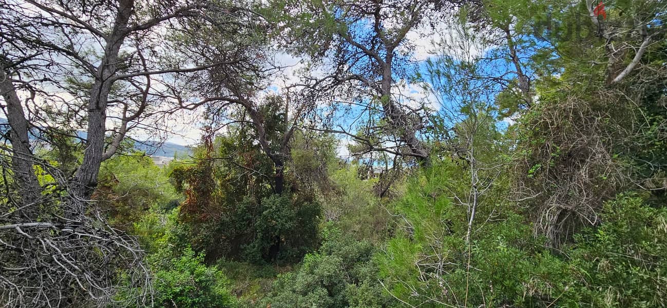 Land for sale in Yarzeh أرض للبيع في اليرزة 3