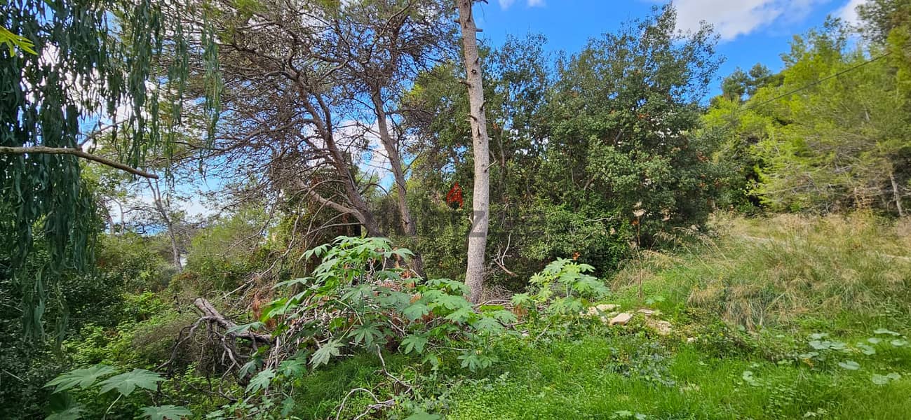 Land for sale in Yarzeh أرض للبيع في اليرزة 4