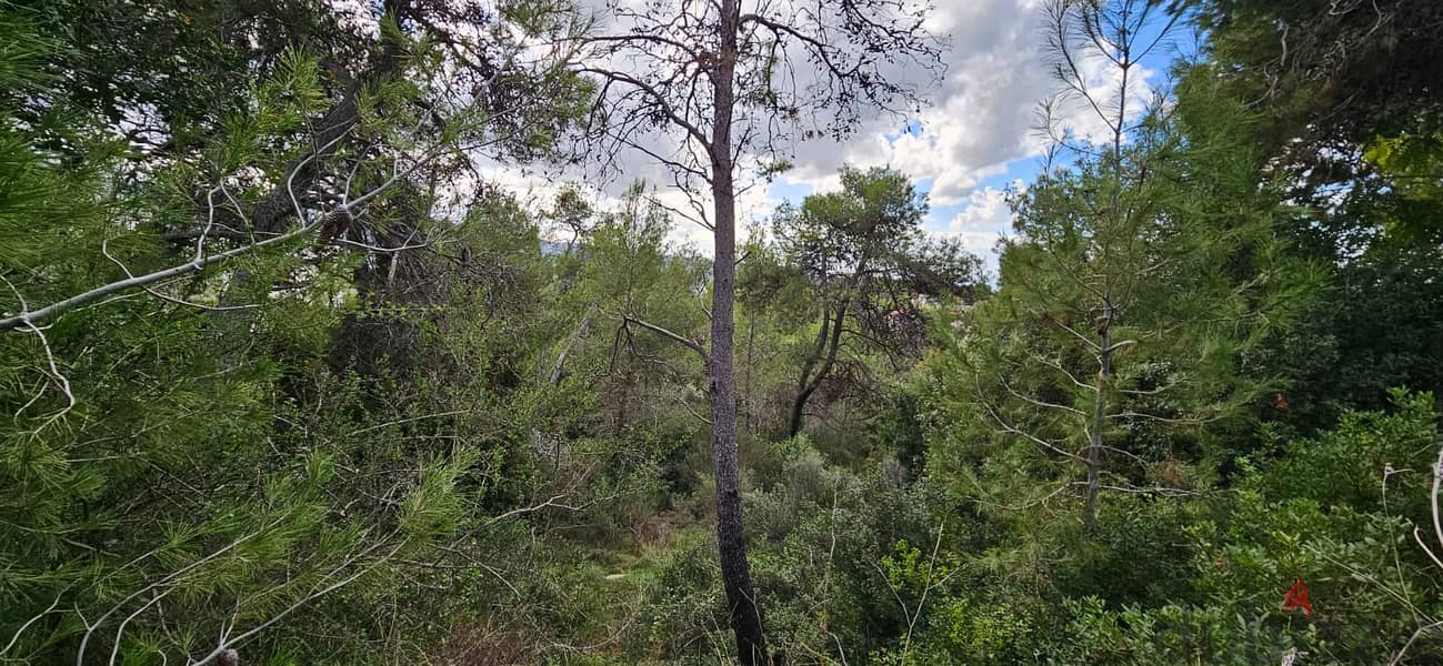 Land for sale in Yarzeh أرض للبيع في اليرزة 8