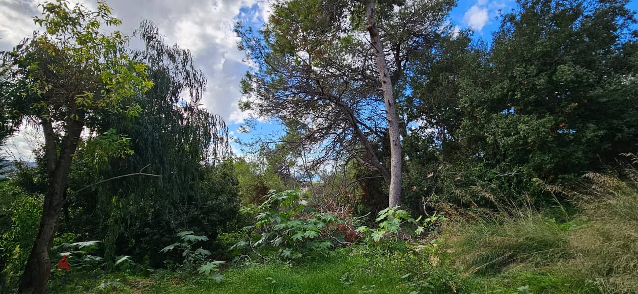 Land for sale in Yarzeh أرض للبيع في اليرزة 9