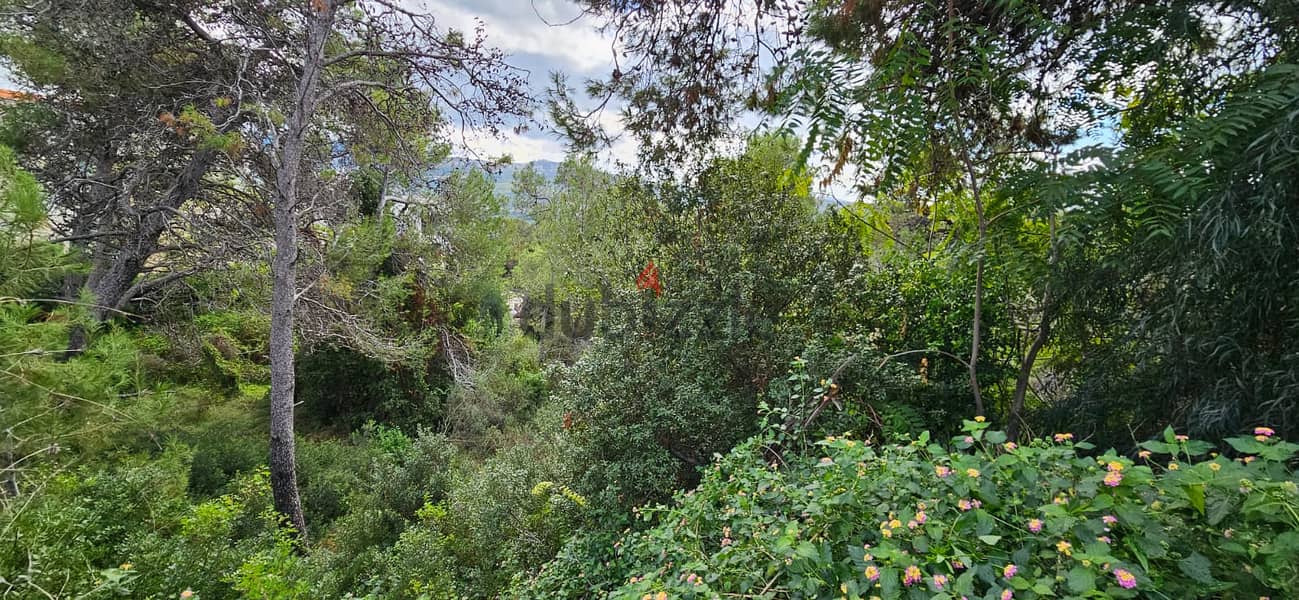 Land for sale in Yarzeh أرض للبيع في اليرزة 10