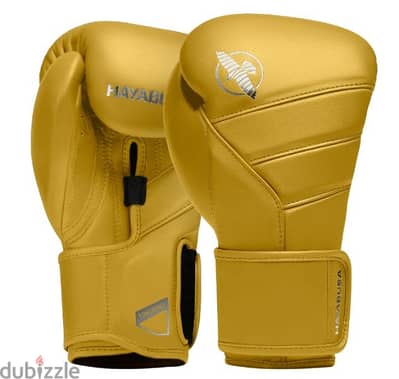 Hayabusa Boxing Gloves