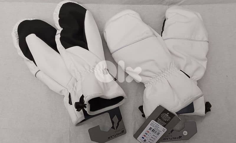whistler gloves 1