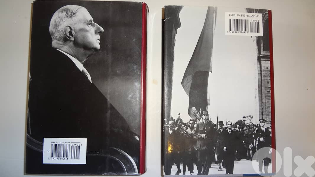 De Gaulle the rebel  1890-1944  DeGaulle the ruler   1945-1970 2 books 2