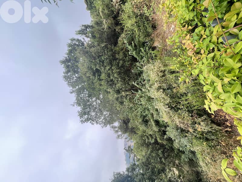 RWK112JA - Land For Sale in Chnaniir  - أرض للبيع في شننعير 3