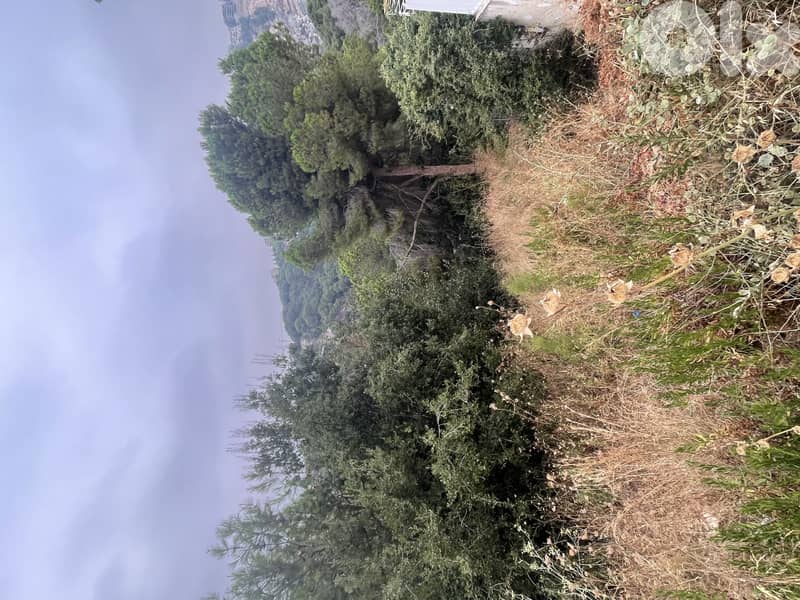 RWK115JA - Land For Sale in Chnaniir - أرض للبيع في شننعير 3
