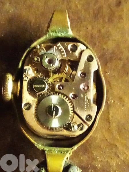 تحفة ألماني 0