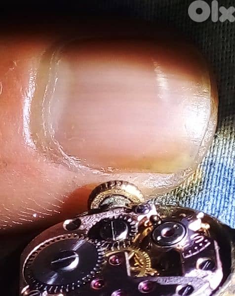 تحفة ألماني 2