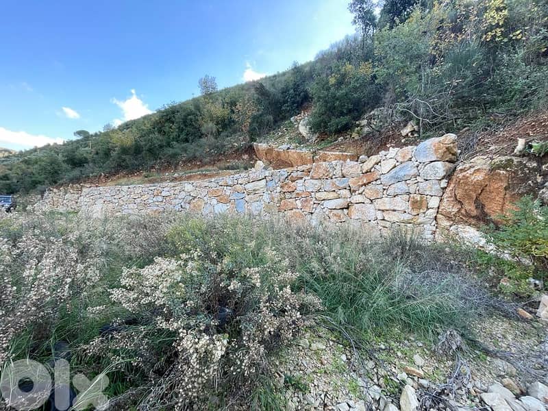 L14098-530 SQM Land for Sale In Haqel 1